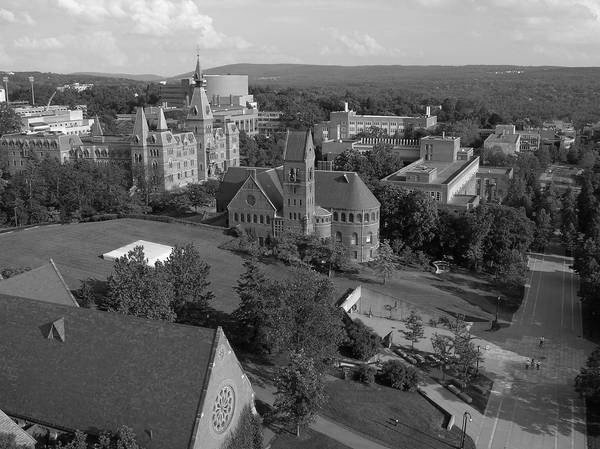 cornell university